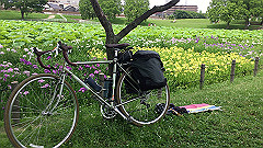 img_5181_thumb.jpg