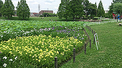 img_5183_thumb.jpg