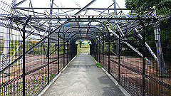 p6111775_thumb.jpg