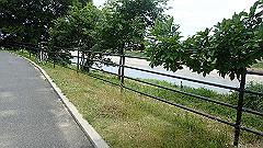 p6111778_thumb.jpg