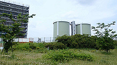 p6111779_thumb.jpg