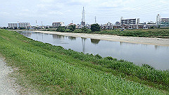 p6111780_thumb.jpg