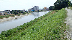 p6111781_thumb.jpg