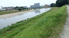 p6111782_thumb.jpg