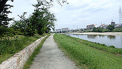 p6111783_thumb.jpg