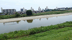p6111784_thumb.jpg