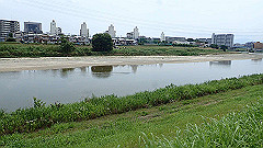 p6111785_thumb.jpg