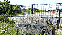 p6111786_thumb.jpg