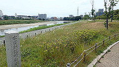 p6111787_thumb.jpg