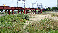 p6111792_thumb.jpg
