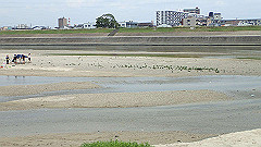 p6111796_thumb.jpg