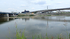 p6111805_thumb.jpg
