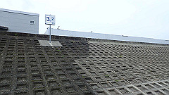 p6111808_thumb.jpg