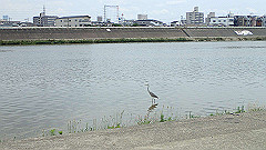p6111815_thumb.jpg