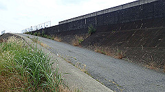 p6111822_thumb.jpg
