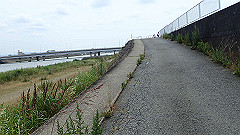 p6111823_thumb.jpg