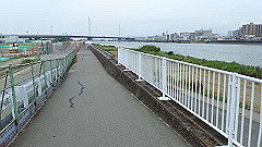 p6111824_thumb.jpg