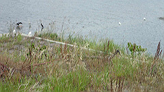 p6111827_thumb.jpg