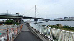 p6111830_thumb.jpg