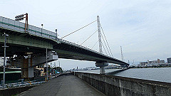 p6111831_thumb.jpg