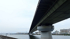 p6111833_thumb.jpg