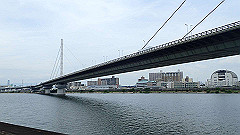 p6111835_thumb.jpg