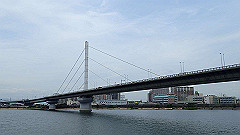 p6111836_thumb.jpg