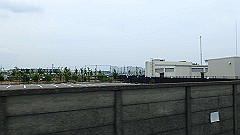 p6111842_thumb.jpg