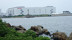p6111854_thumb.jpg