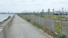 p6111858_thumb.jpg