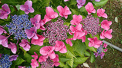 p6111870_thumb.jpg