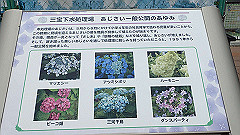 p6111886_thumb.jpg