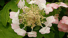 p6111891_thumb.jpg