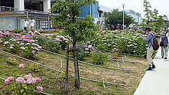 p6111892_thumb.jpg
