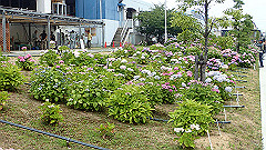 p6111897_thumb.jpg