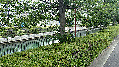 p6111916_thumb.jpg