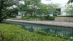 p6111917_thumb.jpg