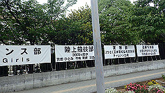 p6111924_thumb.jpg