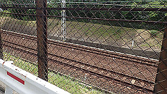 p6111932_thumb.jpg