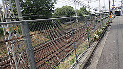 p6111933_thumb.jpg