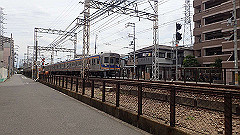 p6111937_thumb.jpg