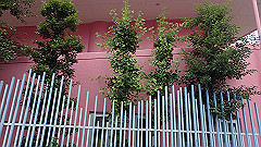 p6111944_thumb.jpg