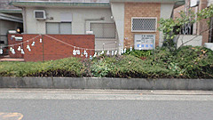 p6111952_thumb.jpg