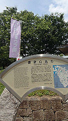 p6111956_thumb.jpg