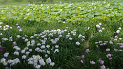 p6111963_thumb.jpg