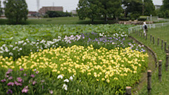 p6111964_thumb.jpg