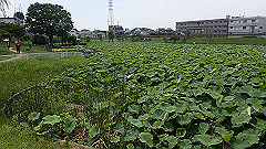 p6111973_thumb.jpg