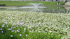 p6111976_thumb.jpg