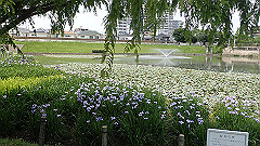 p6111979_thumb.jpg
