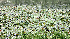 p6111980_thumb.jpg